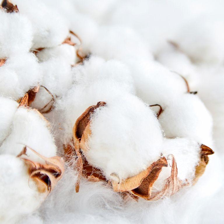 Аромаолія: Clean Cotton / Чиста бавова, 10 г Аромаолія: Clean Cotton / Чиста бавова, 10 г