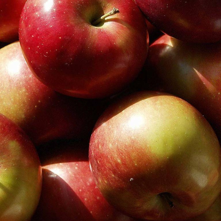Аромаолія: Macintosh apple / Яблука макінтош, 10 г