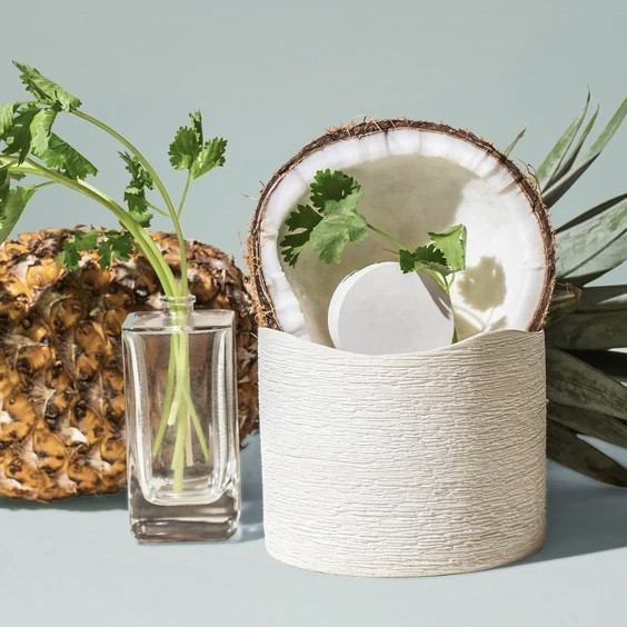 Cilantro + Dark Coconut / Кінза та темний кокос, 10 г Cilantro + Dark Coconut / Кінза та темний кокос, 10 г