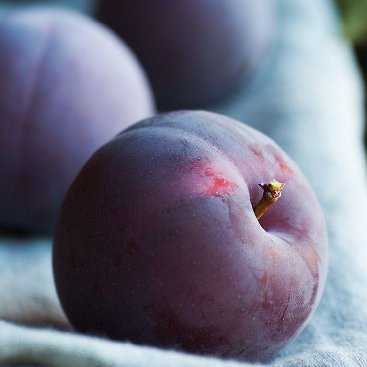 Аромаолія: Cashmere plum / Кашемір та слива, 10 г