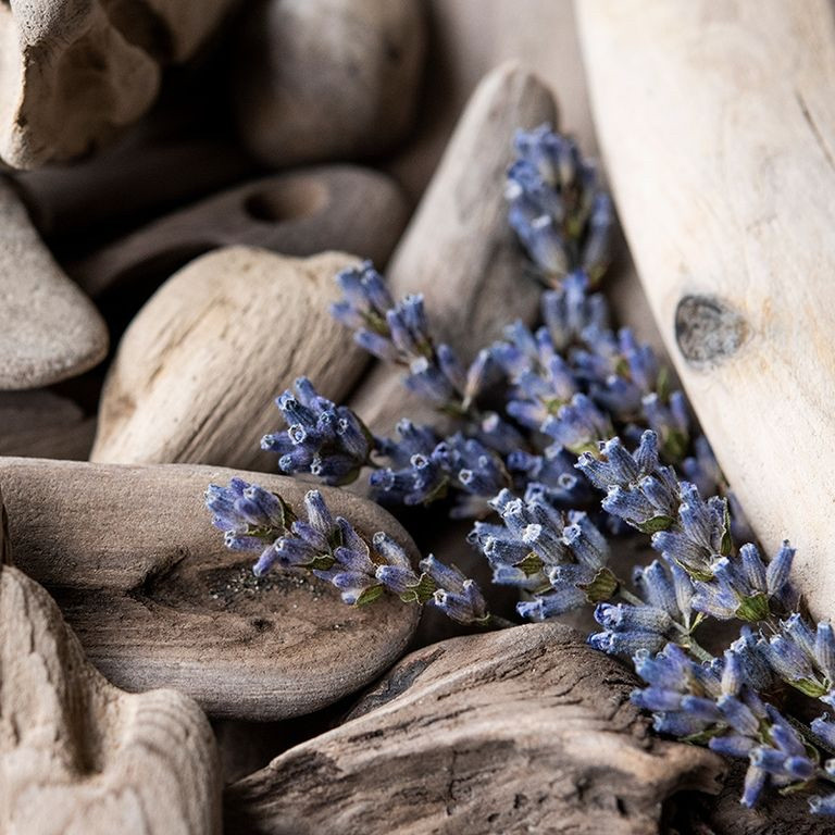 Аромаолія: Lavender & driftwood / Лаванда та дріфтвуд, 10 г