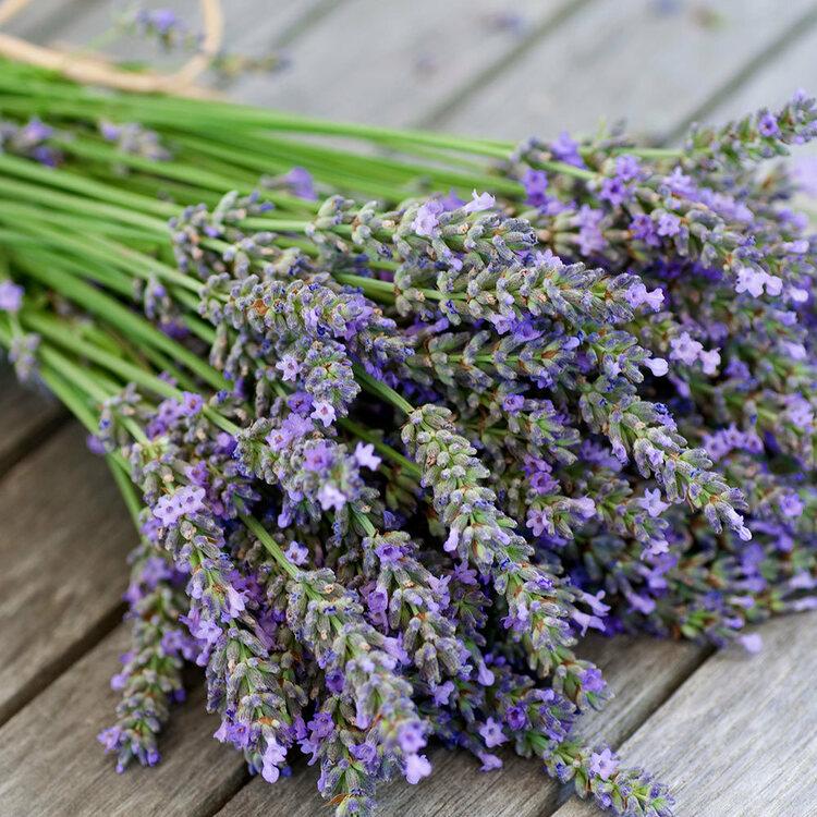 Аромаолія: Lavender / Лаванда, 10 г Аромаолія: Lavender / Лаванда, 10 г