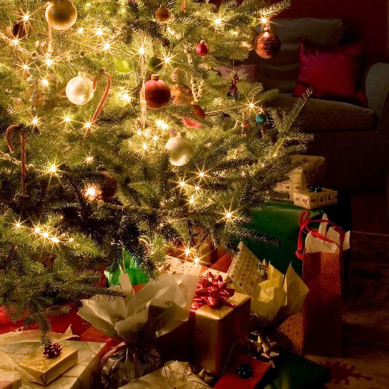 Аромаолія: Christmas Tree / Різдвяна ялинка, 10 г