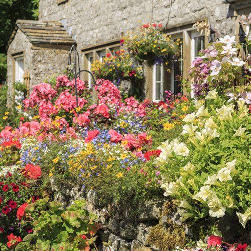 Аромаолія: English Garden  / Англійський сад, 100 г