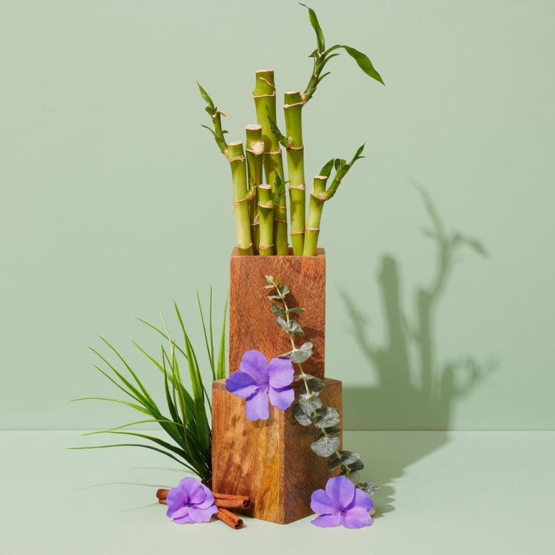 Green bamboo & wild violet \ Зелений бамбук та дика фіалка, 50 г