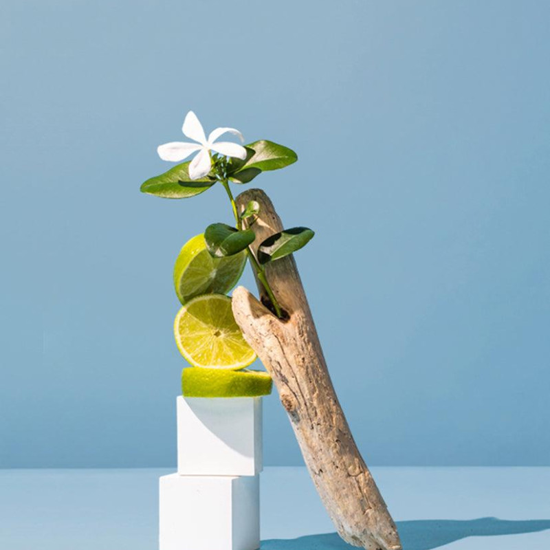 Lemon blossom & sea mist / Лимонний цвіт та морський туман, 100 г Lemon blossom & sea mist / Лимонний цвіт та морський туман, 100 г