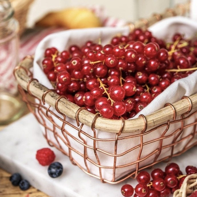 Аромаолія Natures Garden: Red currant / Червона смородина, 50 г