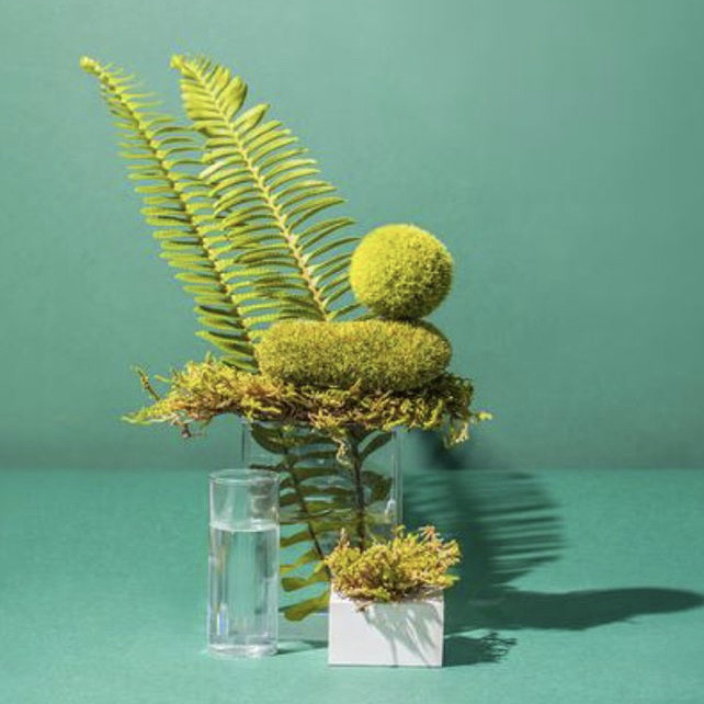Moss & wet fern / Мох та мокра папороть, 50 г