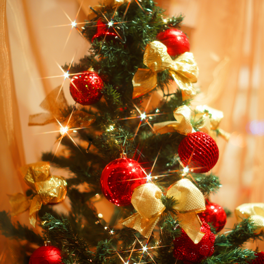 Аромаолія Natures Garden: Christmas Tree / Різдвяна ялинка, 100 г