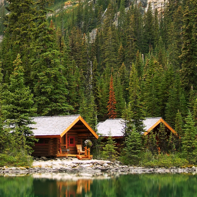 Аромаолія Natures Garden: Balsam and Cedar / Бальзам и кедр, 10 г