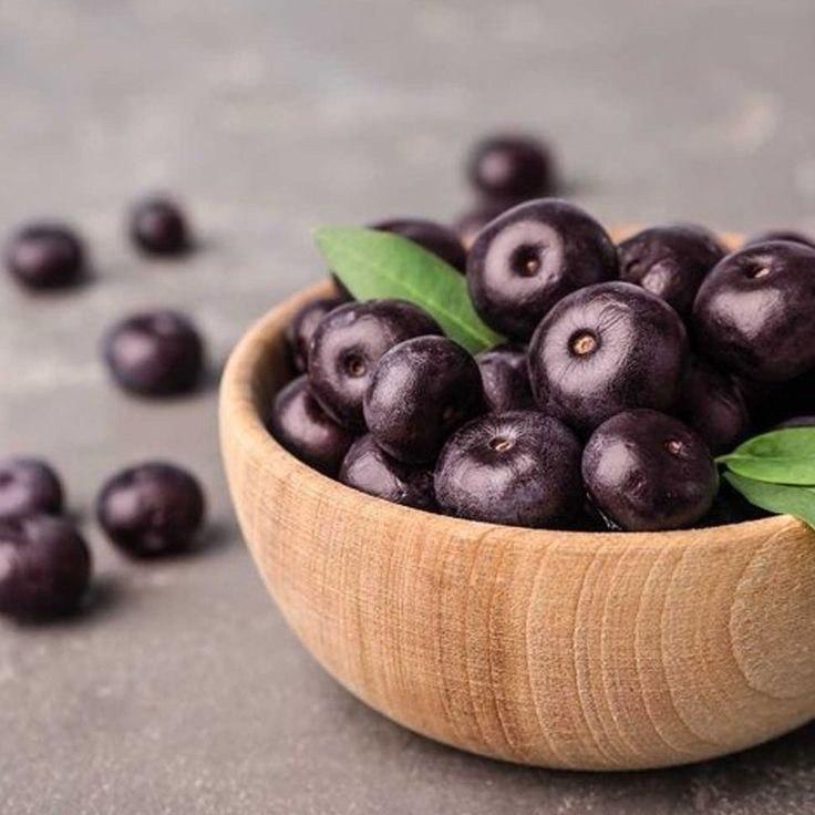 Аромаолія Natures Garden: Acai berry / Ягода Асаї, 50 г Аромаолія Natures Garden: Acai berry / Ягода Асаї, 50 г