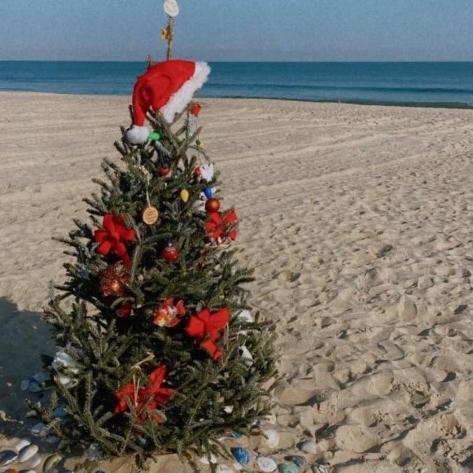 Аромаолія Natures Garden: Island Christmas / Різдво на острові, 10 г Аромаолія Natures Garden: Island Christmas / Різдво на острові, 10 г