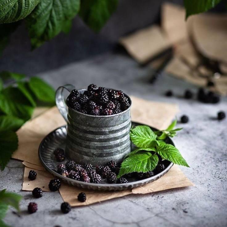 Аромаолія Natures Garden: Mulberry spice / Шовковиця та спеції , 100 г Аромаолія Natures Garden: Mulberry spice / Шовковиця та спеції , 100 г