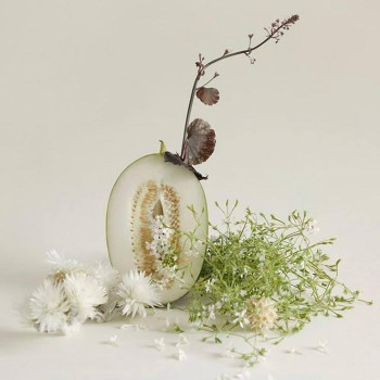 Аромаолія Natures Garden: Melon jasmine / Диня та жасмин, 100 г